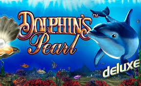 dolphin